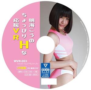 VR専用,イメージビデオ,おもちゃ,競泳・スクール水着,単体作品